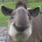 natan_6