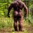 CraigLevy11