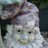 garden_nome1