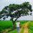 jayanth406