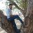 Sushant1189