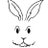 ConejoBlanco500