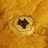 wolves_boy
