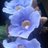 mary_cbsb