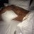 Adrian_Saca