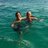 cathy_clamp
