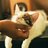 Catlover9169