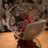bleedingrose_88