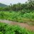 Arjun_5805