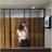 irliane_tal