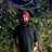 chanpreet02