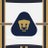 remp_23619