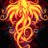 Phoenix64642233