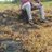 sathyendra