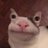 Rexgamer1027