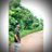 arup_anm