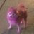 small_butters
