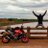 real_FreeBird