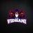 VidhaniX