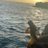 Almeida238_