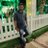 sureshrash29