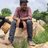 RAJASHE80577313