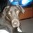 bcole0303