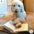 TheNoodlePoodl1