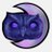 nocturra