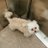 pumba_timony