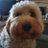 MrsS_tweets