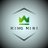 Kingmini93