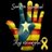 caminant64