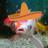 fishinasombrero