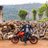 Dhiraj48664265