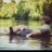 matt_norrie