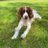PeterMcMorran1