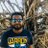 manishmango14