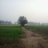 Bhamrahardip