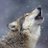 lon3wolfi3