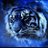 blue_tiger8