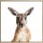 skippy092