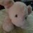 Lidee_16