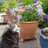 Catidge