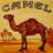 Camel06160418