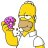 BTC_HOMER