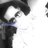 web_ontoy