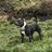 neil_oleary