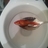belligeral