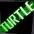 TURTLE_CHINGN